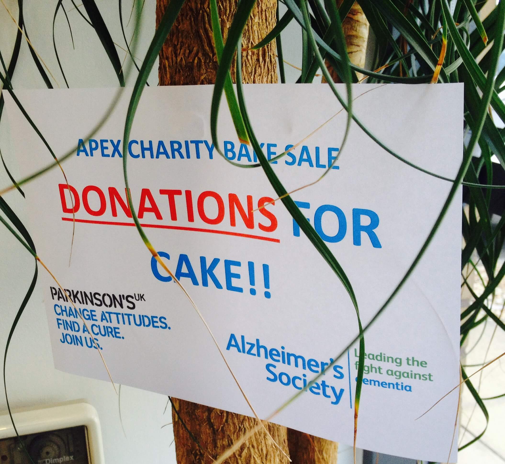 Charity Cake Sale Went Down a Treat!