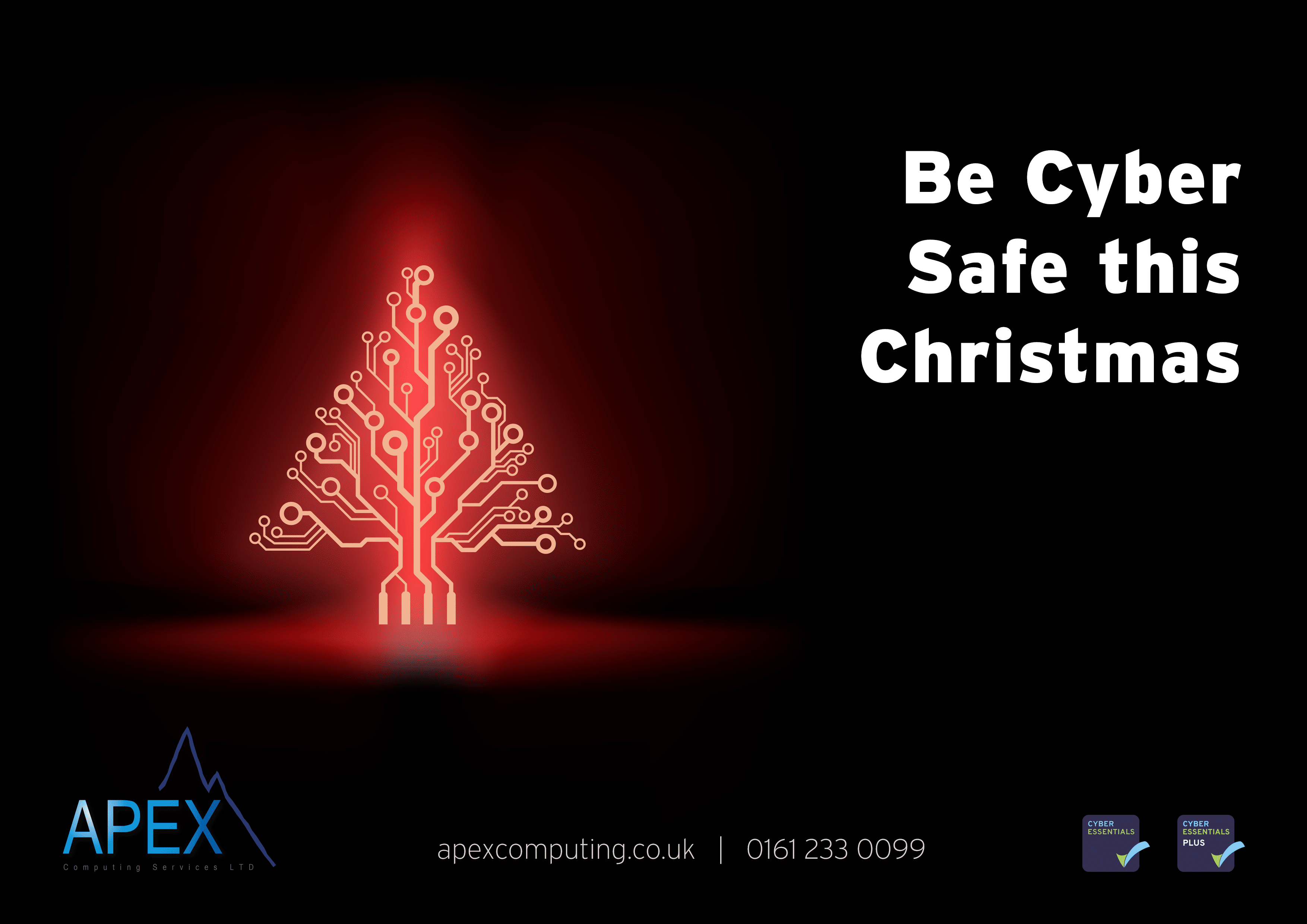 Be Cyber Safe this Christmas Apex Computing